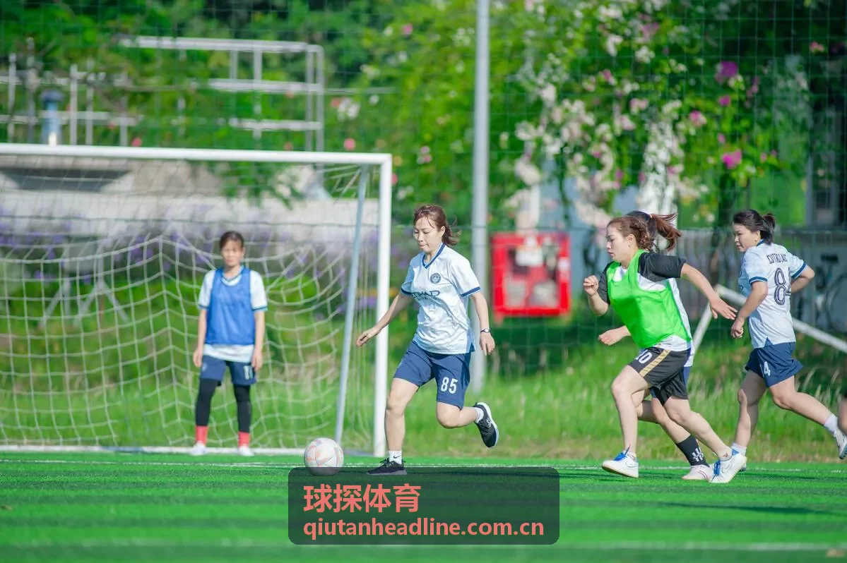 体育分析师使用数据